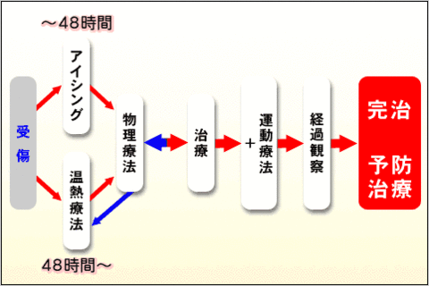 腰痛の治癒過程