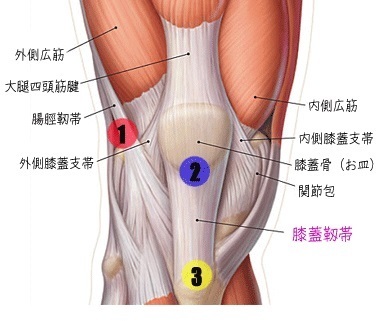 ジャンパー膝