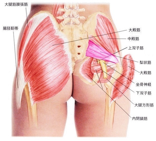 坐骨神経痛